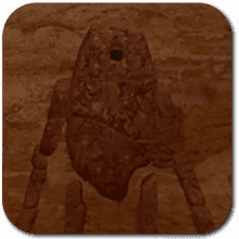 Crookrock Walker - Crimson Desert