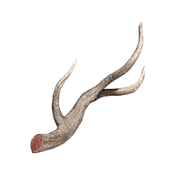 Crow Wings - Crimson Desert