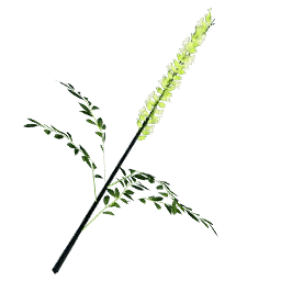 Red Desert Flower - Crimson Desert