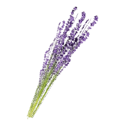 Saffron - Crimson Desert